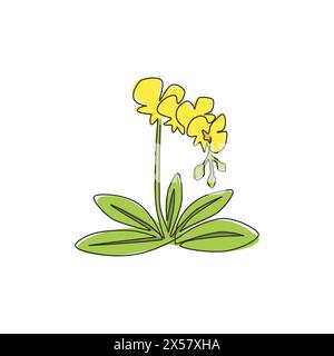 Un dessin en ligne continue de Lily fraîche beauté pour l'affiche de décoration d'art mural à la maison. Concept imprimable de fleur de gladius d'épée pour carte d'invitation de mariage. M Illustration de Vecteur