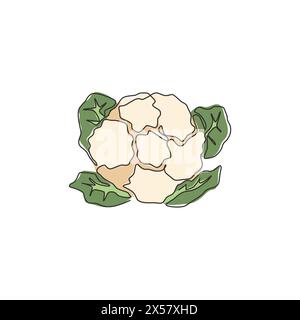 Dessin de ligne continue unique de chou-fleur biologique sain entier pour l'identité du logo de la ferme. Concept frais de Brassica oleracea pour icône végétale. Moderne Illustration de Vecteur