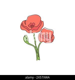 Simple une ligne dessinant beauté plante herbacée fraîche pour décoration maison affiche d'art mural. Fleur de coquelicot décorative imprimable pour symbole du souvenir. CON Illustration de Vecteur