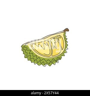 Un dessin à une seule ligne de durian biologique sain en tranches segmentées pour l'identité du logo du verger. Concept de fruits tropicaux frais pour icône de jardin. conti moderne Illustration de Vecteur