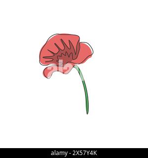 Dessin en ligne continue unique de la plante à fleurs fraîches de beauté pour poster décor mural maison commandés Fleur de coquelicot décorative imprimable pour invitatio de mariage Illustration de Vecteur