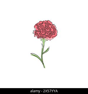 Une ligne continue dessinant un œillet de beauté frais pour l'affiche imprimée décoration murale à la maison. Fleur décorative de dianthus caryophyllus pour carte d'invitation. Illustration de Vecteur