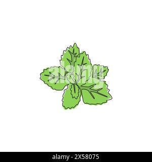 Un dessin simple ligne de feuilles de menthe biologique saines pour l'identité du logo de la ferme. Concept de plante fraîche lamiaceae pour l'icône de plantation. Li. Continue moderne Illustration de Vecteur