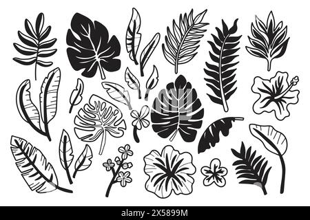 Une collection de dessins en noir et blanc de diverses plantes et fleurs tropicales. La scène est sereine et paisible, avec les plantes et les fleurs apparaissant t Illustration de Vecteur