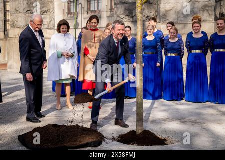 Le roi Frederik X plante un pommier de Graasten lors d’une visite avec le couple royal suédois et le couple prince héritier au Musée nordique de Stockholm, le mardi 7 mai 2024. Au Musée nordique, le couple royal participe à une visite de l'exposition 'Nordbo', qui raconte les gens et la vie dans les pays nordiques au cours des 500 dernières années. Le couple royal plante ensuite un pommier de Graasten. Lundi et mardi, le couple royal danois effectuera sa première visite d’État en Suède. Lors de la visite d’Etat, le couple royal rencontrera, entre autres, les astronautes danois et suédois Banque D'Images