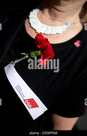 1. Mai Demo DEU, Deutschland, Allemagne, Berlin, 01.05.2024 Demonstrant roter Nelke und logo DGB auf der Demonstration von internationalen Gewerkschaften, linken Initiativen und des Gewerkschaftsverband DGB zum 01. Mai 2024 und dem Tag der Arbeit fuer einen Fairen Lohn, Solidaritaet und gerechte Arbeitsbedingungen unter dem motto 1.mai Mehr Lohn Mehr Freizeit Mehr Sicherhei in Berlin Deutschland en: protestant oeillet rouge et logo DGB lors de la manifestation organisée par les syndicats internationaux, les initiatives de gauche et l'association syndicale DGB le 1er mai 2024 et la fête du travail pour des salaires équitables et la solidarité Banque D'Images