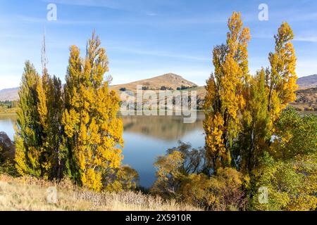 Lac Hayes en automne, près de Queenstown, Otago, Île du Sud, Nouvelle-Zélande Banque D'Images