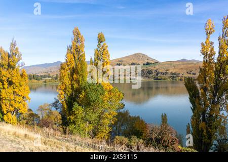 Lac Hayes en automne, près de Queenstown, Otago, Île du Sud, Nouvelle-Zélande Banque D'Images