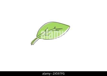 Icône feuille. Dessin continu d'une ligne de conception d'illustration vectorielle minimaliste de nature verte sur fond blanc. Motif moderne simple et isolé Illustration de Vecteur