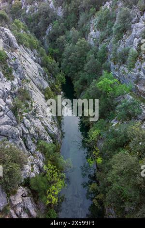 Rivière Guadalquivir jeune, Cerrada de Utrero, Parc naturel des Sierras de Cazorla, Segura et Las Villas, province de Jaén, Andalousie, Espagne Banque D'Images