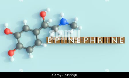 3d rendu de l'épinéphrine ou molécule d'adrénaline et de l'épinéphrine sur les blocs de mots Banque D'Images