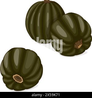 Groupe de Zapallo Macre Squash. Courge d'hiver. Cucurbita maxima. Fruits et légumes. Clipart. Illustration vectorielle isolée. Illustration de Vecteur