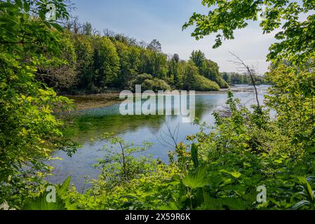 Le pittoresque et calme lac Swanbourne, Arundel, West Sussex, Royaume-Uni. Banque D'Images