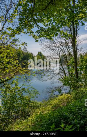 Le pittoresque et calme lac Swanbourne, Arundel, West Sussex, Royaume-Uni. Banque D'Images