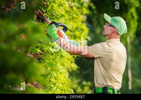 Travailleur de jardin professionnel dans ses années 40 Shaping Tree à l'aide d'un coupe-buissons sans fil Banque D'Images