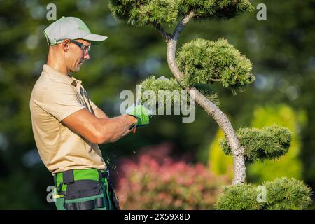 Jardinier caucasien professionnel dans ses années 40 prendre soin de ses plantes. Thème jardinage. Banque D'Images