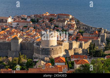 Die Festung Minceta und die Altstadt von oben gesehen, Dubrovnik, Kroatien, Europa | forteresse de Minceta et la vieille ville vue d'en haut, Dubrovnik, Cro Banque D'Images