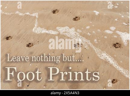 Signez pour Leave Nothing but Footprints en utilisant des empreintes de chien sur la plage Banque D'Images