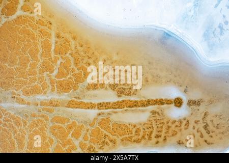 Une perspective aérienne révèle les motifs texturés des dépôts de sel dans les lagons sereins près de Tolède, en Espagne, mettant en valeur l'art abstrait de la nature Banque D'Images