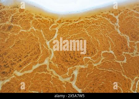 Vue aérienne des motifs texturés orange et blanc créés par les étangs salants dans les lagunes près de Tolède Banque D'Images