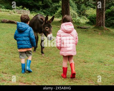 Vue arrière de deux enfants, un garçon et une fille, marchent à travers un parc verdoyant luxuriant, approchant un âne sympathique. Loisirs familiaux capturés dans la nature. Banque D'Images