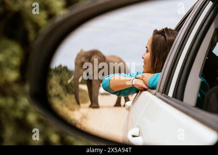 Une touriste aime regarder un éléphant sauvage à travers un rétroviseur latéral de voiture lors d'une aventure safari africaine. Banque D'Images