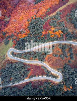 Vue aérienne de dessus d'une route sinueuse coupant à travers les couleurs d'automne vibrantes de la forêt dans les Pyrénées, vallée de Roncal, Navarre. Banque D'Images