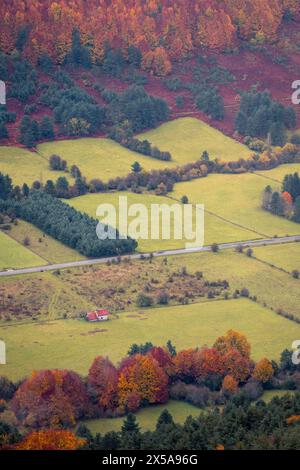 D'en haut vue d'automne pittoresque sur la luxuriante vallée de Roncal en Navarre, Pyrénées, avec un feuillage vibrant et des prairies verdoyantes encadrant une ferme solitaire. Banque D'Images