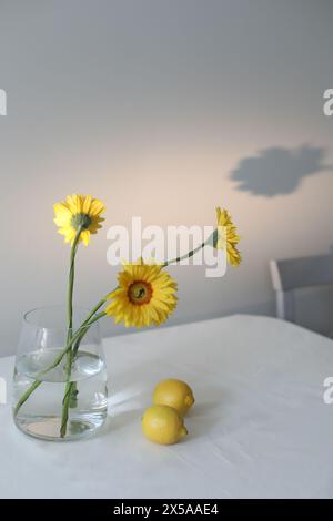 nature morte avec des citrons et des gerberas jaunes dans un bocal en verre sur une table recouverte d'une nappe de lin. Composition estivale avec citrons et fleurs jaunes Banque D'Images