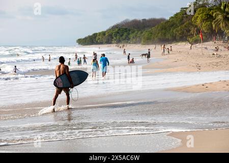 Surfeur touristique, homme tenant une planche de surf, marchant hors de l'eau sur la belle plage de Santa Teresa sur la péninsule de Nicoya en fin d'après-midi, Costa Rica Banque D'Images