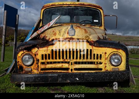 Vue détaillée d'une camionnette jaune, ancienne et rouillée, désaffectée, garée dans un champ d'herbe. Banque D'Images