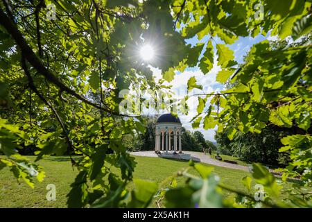 Wiesbaden, Allemagne. 08 mai 2024. Le soleil jette un œil à travers les feuilles sur le Neroberg à Wiesbaden. Crédit : Jörg Halisch/dpa/Alamy Live News Banque D'Images