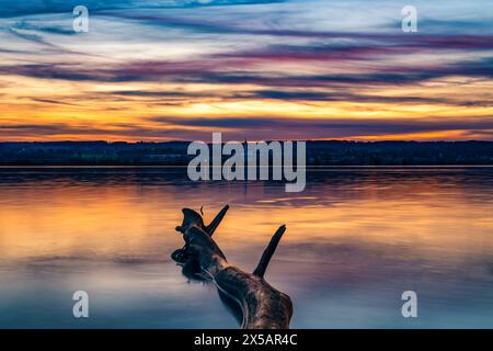 coucher de soleil sur le lac, ammersee, bavière, tronc d'arbre, diessen, lakeside, papier peint Banque D'Images