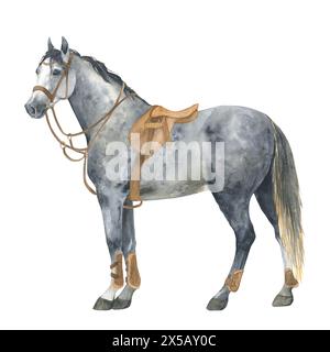 Illustration aquarelle d'un cheval gris avec selle et mariée, debout. Poney gris isolé. Pour cartes, impressions, décor Banque D'Images