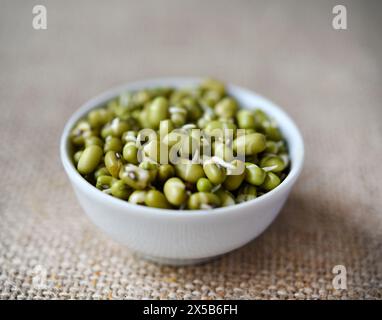 Haricots germés dans un récipient et une tasse. Graines germées diététiques. Banque D'Images