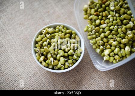 Haricots germés dans un récipient et une tasse. Graines germées diététiques. Banque D'Images