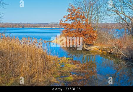 Quiet Creek rejoignant la rivière Illinois aux couleurs d'automne dans le parc d'État Starved Rock dans l'Illinois Banque D'Images