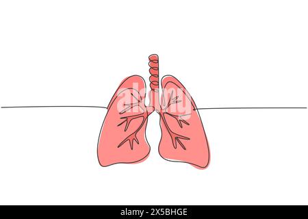 Un dessin en trait continu d'organe anatomique du poumon humain. Concept d'anatomie interne médicale dynamique. Illustration vectorielle de conception graphique de dessin de ligne unique Illustration de Vecteur