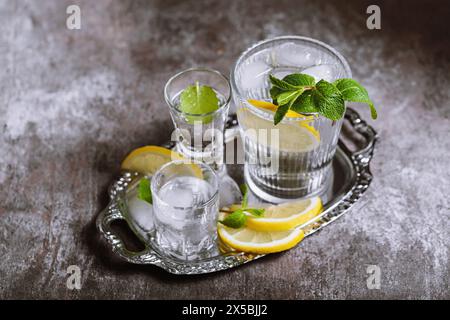 Divers verres sur le plateau rempli de boissons fraîches claires avec de la glace, du citron et de la menthe Banque D'Images