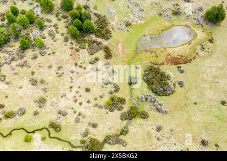 Terres agricoles entre Villa Cerro Castillo et Puerto Ingeniero Ibanez, le long de la route arrière x-723, Patagonie, Chili Banque D'Images