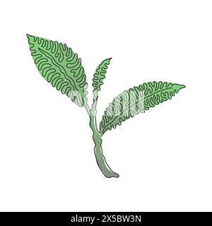 Une seule ligne dessinant une feuille de thé biologique saine entière pour l'identité de logo de boisson à base de plantes. Concept de nature fraîche pour icône de plantation de thé. Boucles torsadées. Illustration de Vecteur