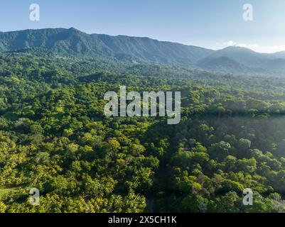 Vue aérienne, forêt tropicale et montagnes, province de Puntarenas, Costa Rica Banque D'Images