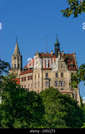 Château de Hohenzollern Sigmaringen, ancienne résidence princière et centre administratif des Princes de Hohenzollern-Sigmaringen, château de la ville Banque D'Images