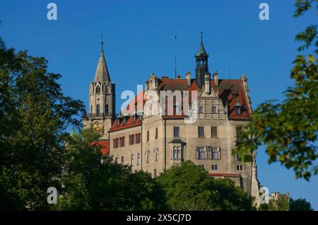 Château de Hohenzollern Sigmaringen, ancienne résidence princière et centre administratif des Princes de Hohenzollern-Sigmaringen, château de la ville Banque D'Images