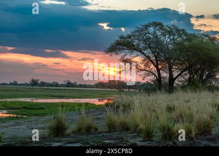 Vue sur le paysage de la rivière Chobe au Botswana Banque D'Images