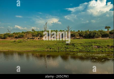 Vue sur le paysage de la rivière Chobe au Botswana Banque D'Images