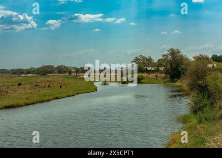 Vue sur le paysage de la rivière Chobe au Botswana Banque D'Images