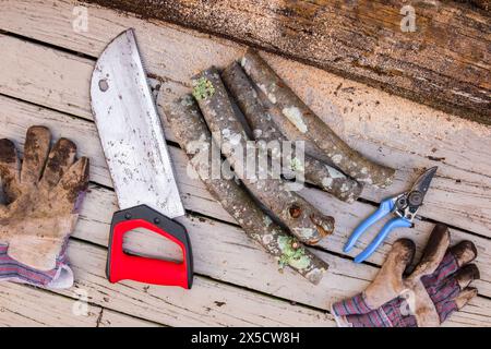 Scie à main rouillée sur un fond de planches en bois, des bûches de bois de chauffage coupé, des cisailles d'élagage de jardin et de vieux gants sales. Banque D'Images