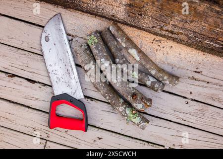 Vieille scie à main rouillée sur un fond de planches en bois avec quatre bûches de bois de chauffage coupé. Banque D'Images