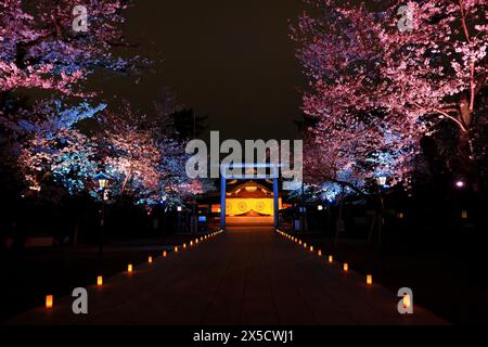 Yasukuni Jinja (sanctuaire de style shinto) avec fleurs de cerisier (sakura) à Chiyoda, Tokyo, Japon Banque D'Images